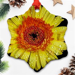 Yellow Flower Close Up Ornament (snowflake) 