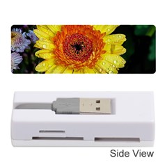 Yellow Flower Close Up Memory Card Reader (stick)  by MichaelMoriartyPhotography