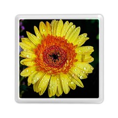 Yellow Flower Close Up Memory Card Reader (square)  by MichaelMoriartyPhotography