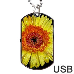 Yellow Flower Close Up Dog Tag Usb Flash (one Side) by MichaelMoriartyPhotography