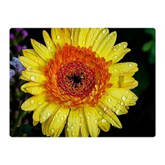 Yellow Flower Close Up Double Sided Flano Blanket (mini)  by MichaelMoriartyPhotography