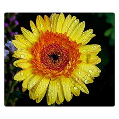 Yellow Flower Close Up Double Sided Flano Blanket (small)  by MichaelMoriartyPhotography