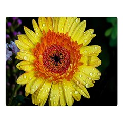 Yellow Flower Close Up Double Sided Flano Blanket (large)  by MichaelMoriartyPhotography