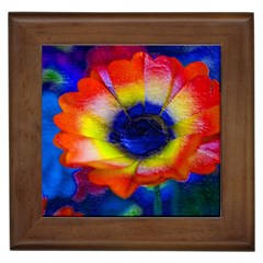 Tie Dye Flower Framed Tiles by MichaelMoriartyPhotography