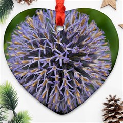 Globe Mallow Flower Ornament (heart) 