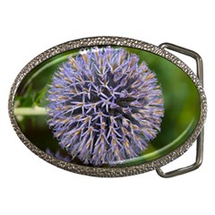 Globe Mallow Flower Belt Buckles by MichaelMoriartyPhotography