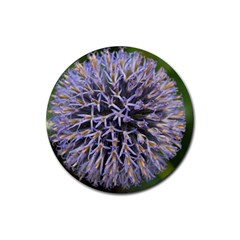 Globe Mallow Flower Rubber Round Coaster (4 Pack)  by MichaelMoriartyPhotography