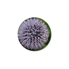 Globe Mallow Flower Golf Ball Marker (4 Pack) by MichaelMoriartyPhotography