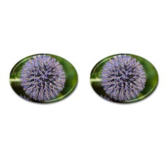 Globe Mallow Flower Cufflinks (oval) by MichaelMoriartyPhotography