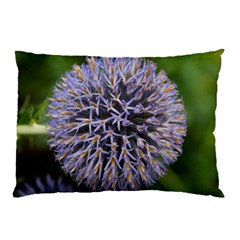 Globe Mallow Flower Pillow Case