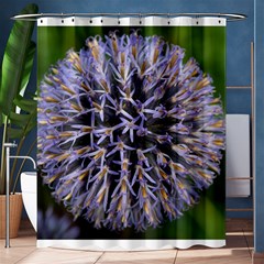 Globe Mallow Flower Shower Curtain 60  X 72  (medium)  by MichaelMoriartyPhotography