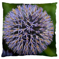 Globe Mallow Flower Standard Flano Cushion Case (two Sides) by MichaelMoriartyPhotography