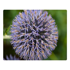 Globe Mallow Flower Double Sided Flano Blanket (large)  by MichaelMoriartyPhotography