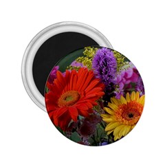 Colorful Flowers 2 25  Magnets by MichaelMoriartyPhotography