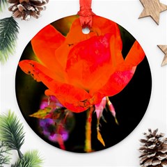 Red Beauty Ornament (round)  by MichaelMoriartyPhotography