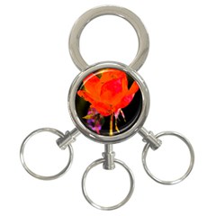 Red Beauty 3-Ring Key Chains