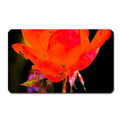 Red Beauty Magnet (Rectangular)