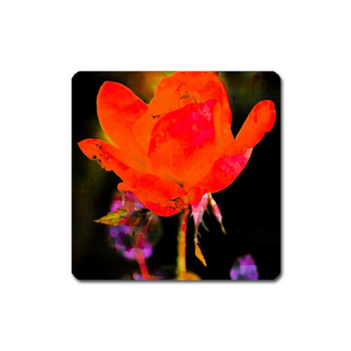 Red Beauty Square Magnet