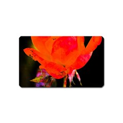 Red Beauty Magnet (Name Card)