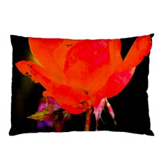 Red Beauty Pillow Case by MichaelMoriartyPhotography