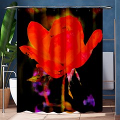 Red Beauty Shower Curtain 60  x 72  (Medium) 