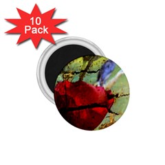 Rusty Globe Mallow Flower 1 75  Magnets (10 Pack) 