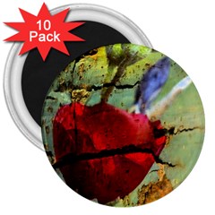 Rusty Globe Mallow Flower 3  Magnets (10 Pack) 