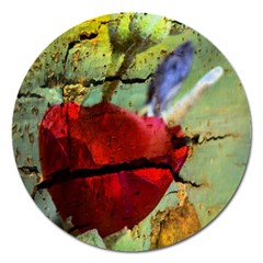 Rusty Globe Mallow Flower Magnet 5  (round)