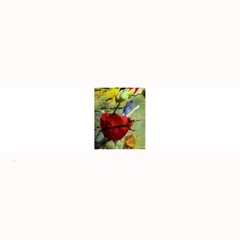 Rusty Globe Mallow Flower Large Bar Mats