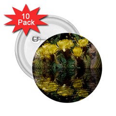 Cactus Flowers With Reflection Pool 2 25  Buttons (10 Pack) 