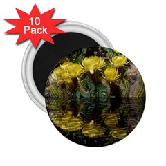 Cactus Flowers With Reflection Pool 2 25  Magnets (10 Pack) 