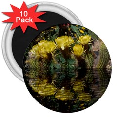 Cactus Flowers With Reflection Pool 3  Magnets (10 Pack) 