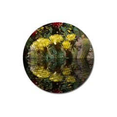 Cactus Flowers With Reflection Pool Magnet 3  (round) by MichaelMoriartyPhotography