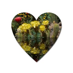 Cactus Flowers With Reflection Pool Heart Magnet by MichaelMoriartyPhotography