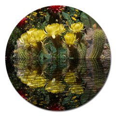 Cactus Flowers With Reflection Pool Magnet 5  (round) by MichaelMoriartyPhotography