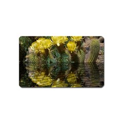 Cactus Flowers With Reflection Pool Magnet (name Card) by MichaelMoriartyPhotography