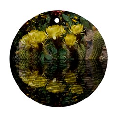 Cactus Flowers With Reflection Pool Round Ornament (two Sides)  by MichaelMoriartyPhotography