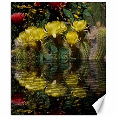 Cactus Flowers With Reflection Pool Canvas 8  X 10 