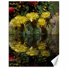 Cactus Flowers With Reflection Pool Canvas 12  X 16  