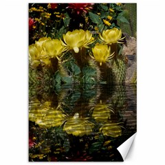 Cactus Flowers With Reflection Pool Canvas 12  X 18  