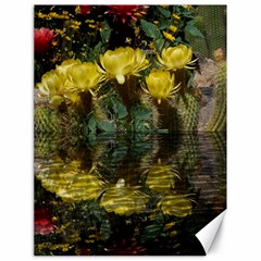 Cactus Flowers With Reflection Pool Canvas 18  X 24  