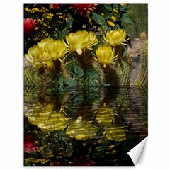 Cactus Flowers With Reflection Pool Canvas 36  X 48  