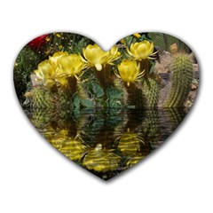 Cactus Flowers With Reflection Pool Heart Mousepads