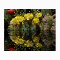 Cactus Flowers With Reflection Pool Small Glasses Cloth (2-side) by MichaelMoriartyPhotography