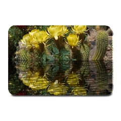 Cactus Flowers With Reflection Pool Plate Mats by MichaelMoriartyPhotography