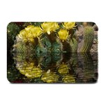 Cactus Flowers with Reflection Pool Plate Mats 18 x12  Plate Mat