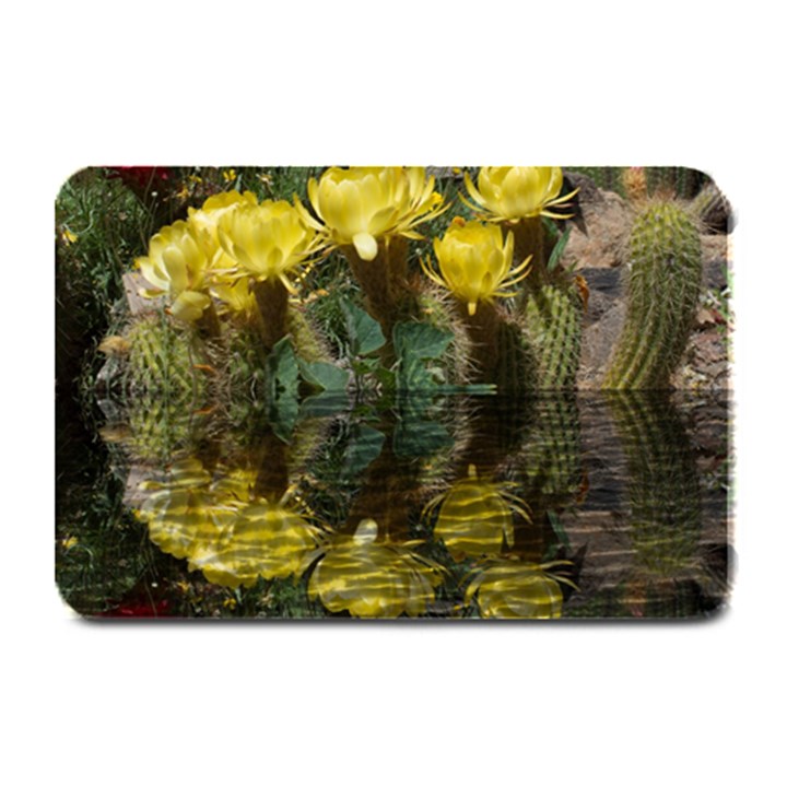 Cactus Flowers with Reflection Pool Plate Mats