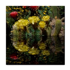 Cactus Flowers With Reflection Pool Face Towel