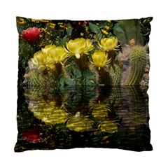 Cactus Flowers With Reflection Pool Standard Cushion Case (one Side)