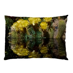 Cactus Flowers With Reflection Pool Pillow Case (two Sides)